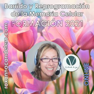 FORMACIÓN 2021 Memoria Celular Prof. Roxanna Candelero